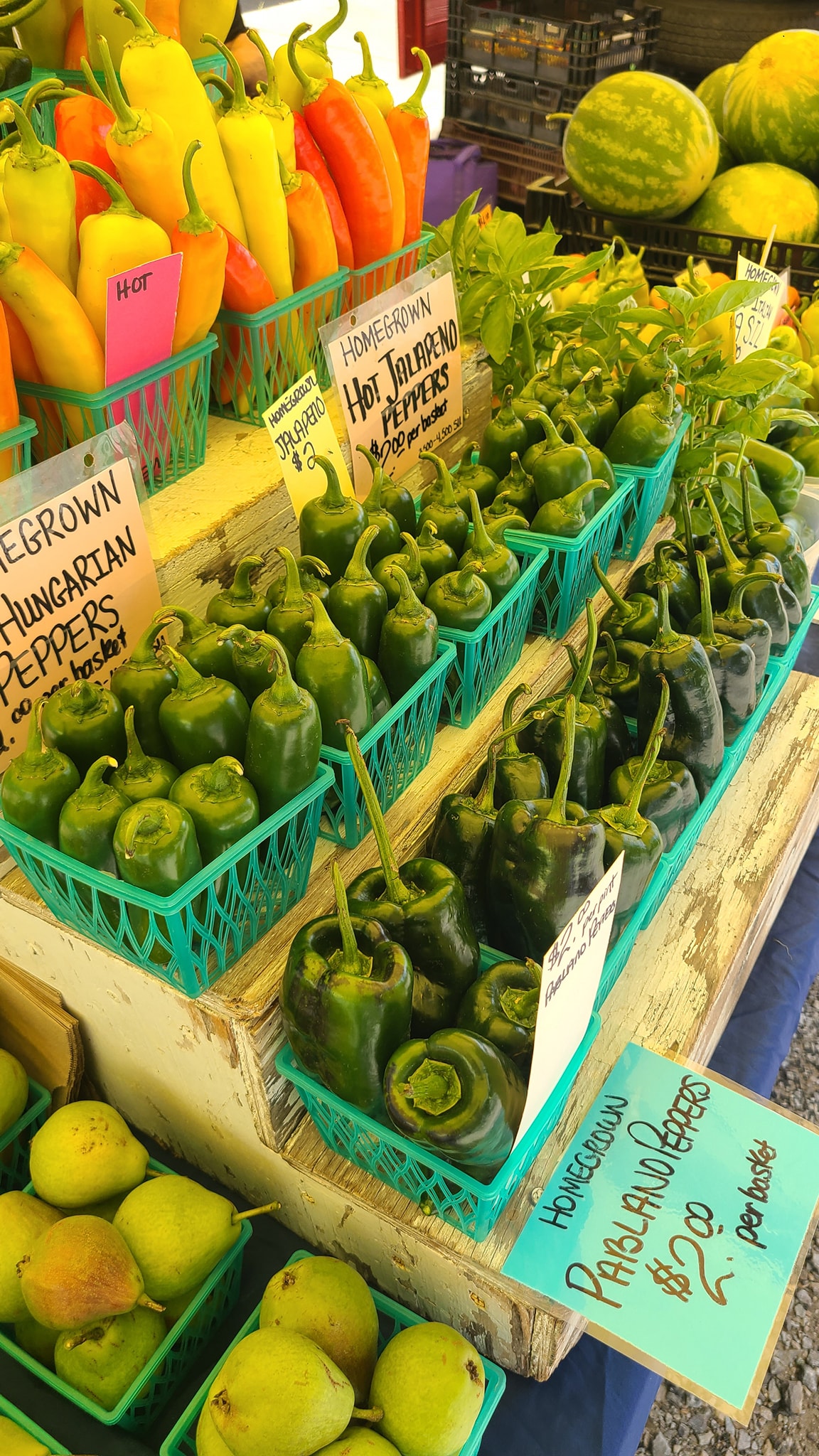 Bay Area Farmers Market 2026 — photo