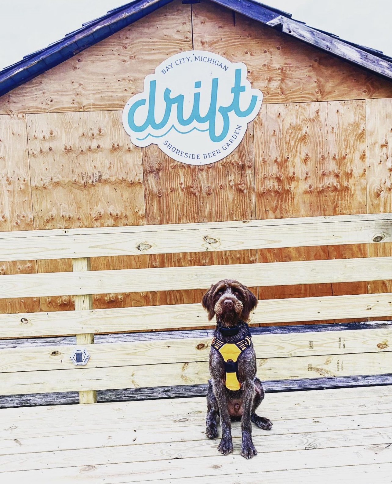 Drift Shoreside Beer Garden in Bay City